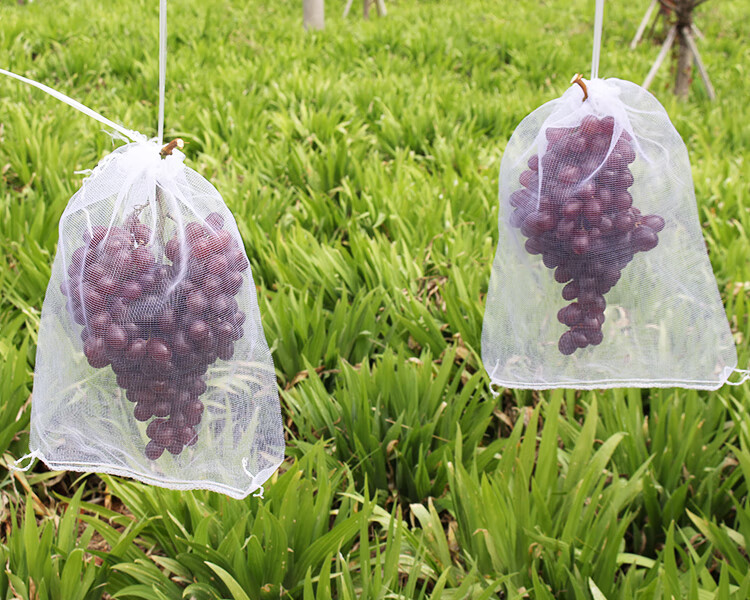 水果葡萄套袋防虫防鸟白色纱网袋子透气防果蝇套树苗枇杷果树网袋 白