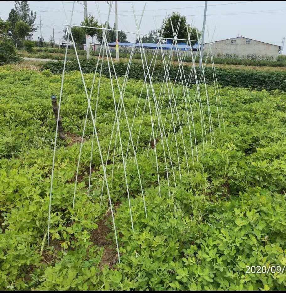 【玻璃钢纤维小拱棚支架拱杆】蔬菜小拱棚支架保温棚架小拱棚弓条