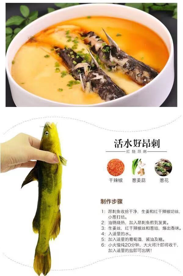 黄骨鱼黄腊丁昂刺鱼新鲜黄丫头鱼葛鱼黄颡鱼鲜活