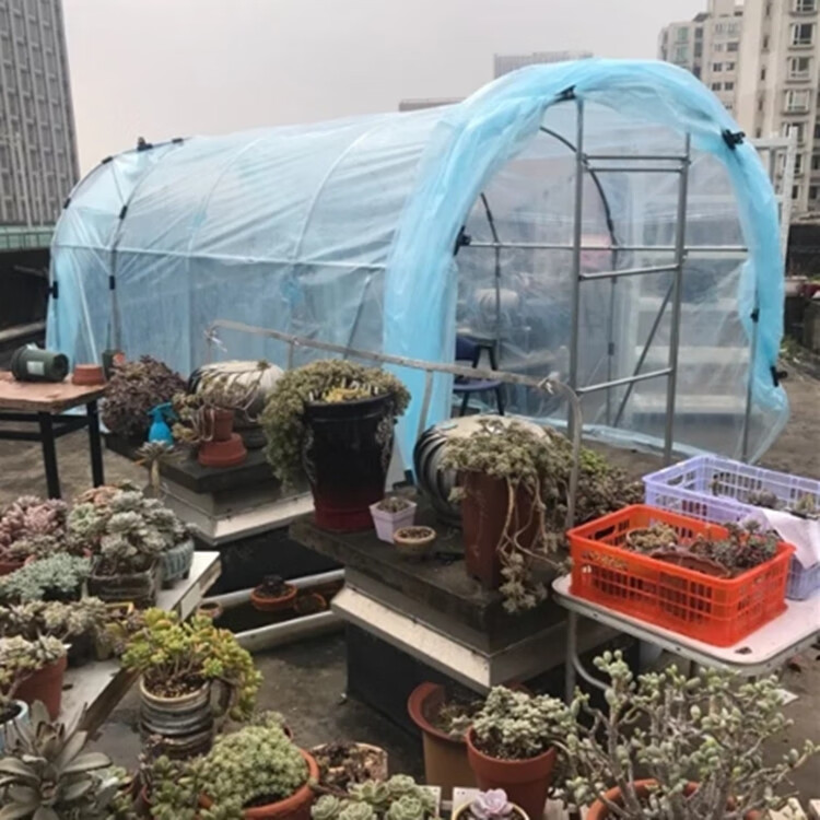 家用温室大棚家用温室花房 暖房大棚骨架钢管楼顶多肉 遮阳防水花棚