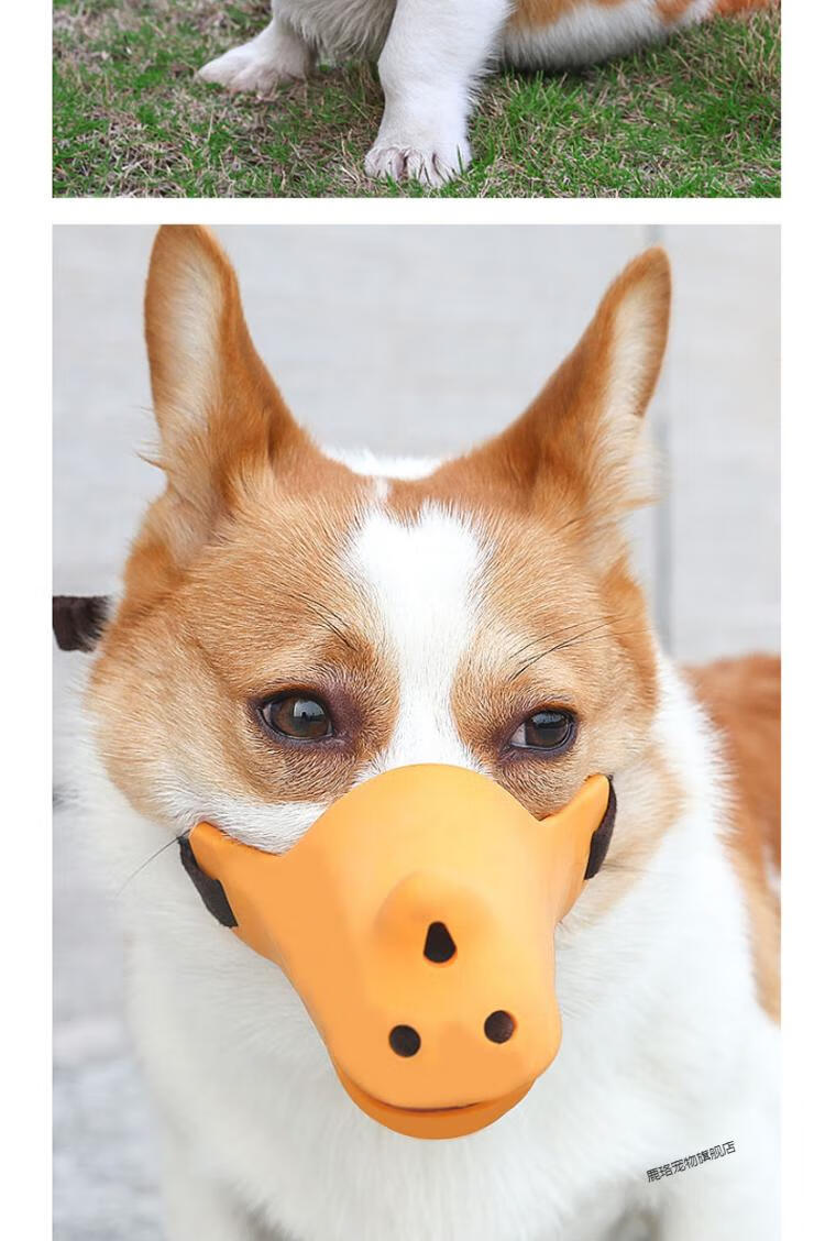 嘴套止吠器泰迪金毛柯基嘴套狗口罩中小型犬训犬硅胶犀鸭嘴套宠物用品