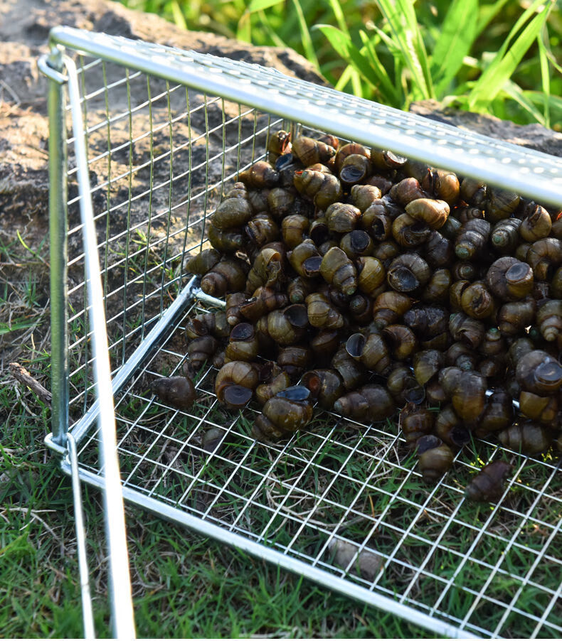田螺捕捞神器扒虾捞鱼网笼一锅端新捞螺蛳神器抓螺丝工具篮捕田螺笼扒