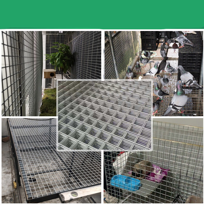 恒日晟304不锈钢网片焊接网格钢丝网片养殖围栏网围网鸟笼鸽子笼铁丝