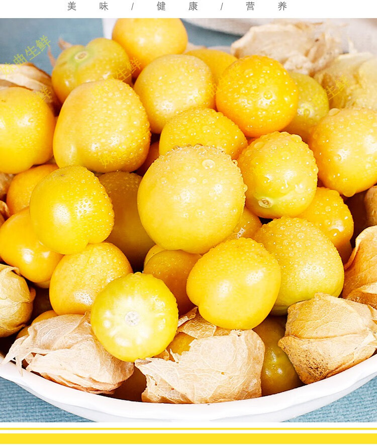 东北新鲜菇娘果东北黄姑娘果灯笼果菇凉果礼盒定制款3斤