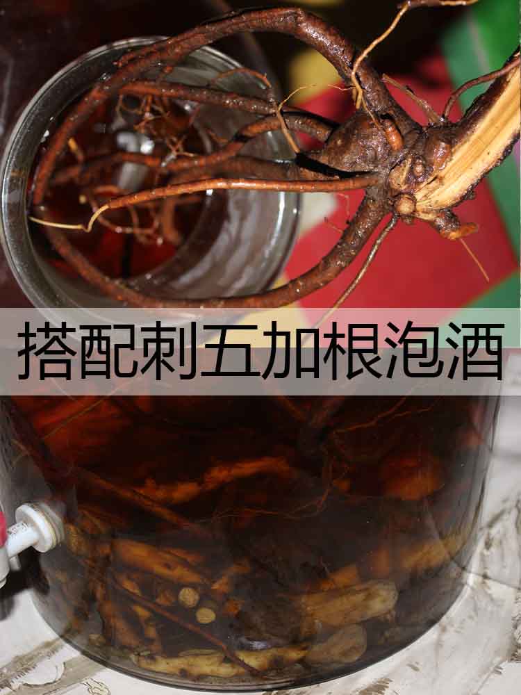 东北野生穿山龙野生500克串地龙骨精选无硫切片泡酒 穿地龙中药材草药