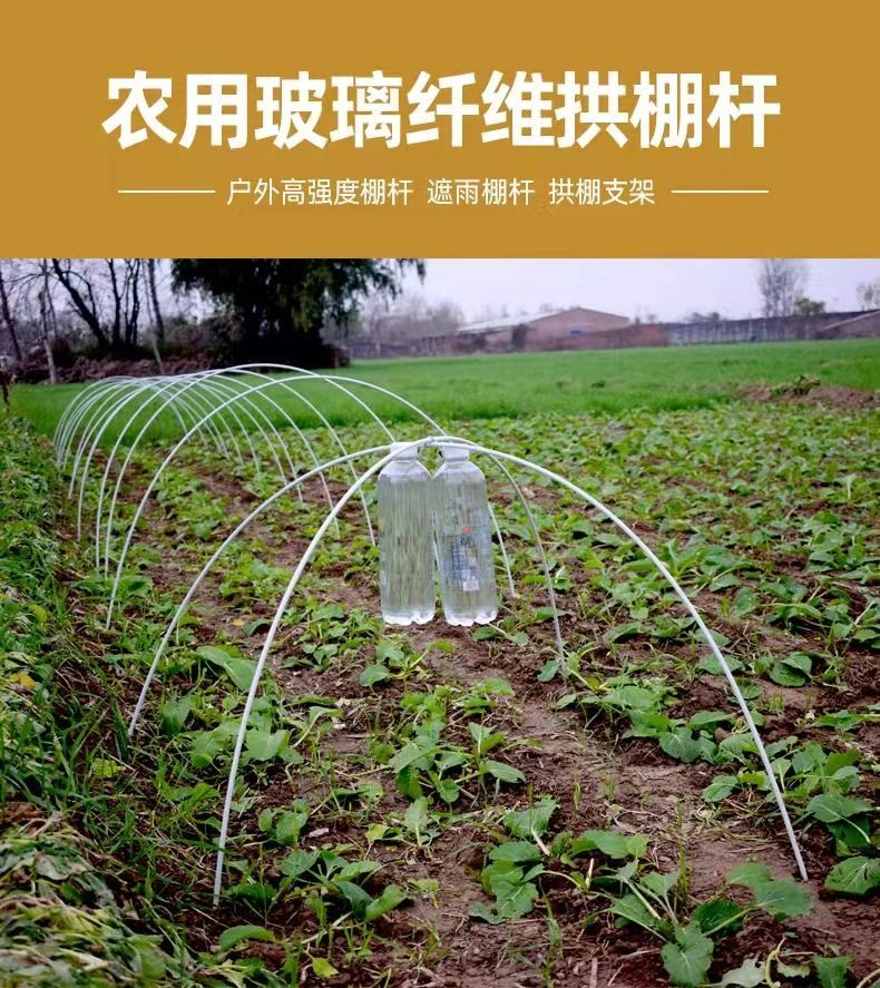 大棚骨架农用菜棚保温棚花棚拱玻纤杆育苗小拱棚支架拱杆骨架玻璃钢