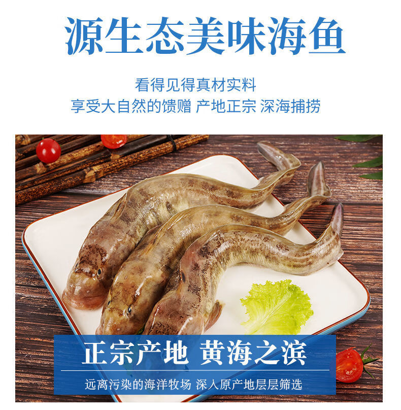 新鮮沙丁魚海鯰魚批發海魚 5斤裝 1-3條/斤 順豐閃贈 紅燒好吃【圖片