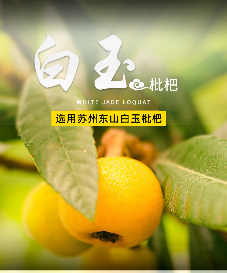 魃鲜东山白玉枇杷苏州白沙枇杷果新鲜当季水果大果礼盒装3斤精品礼盒