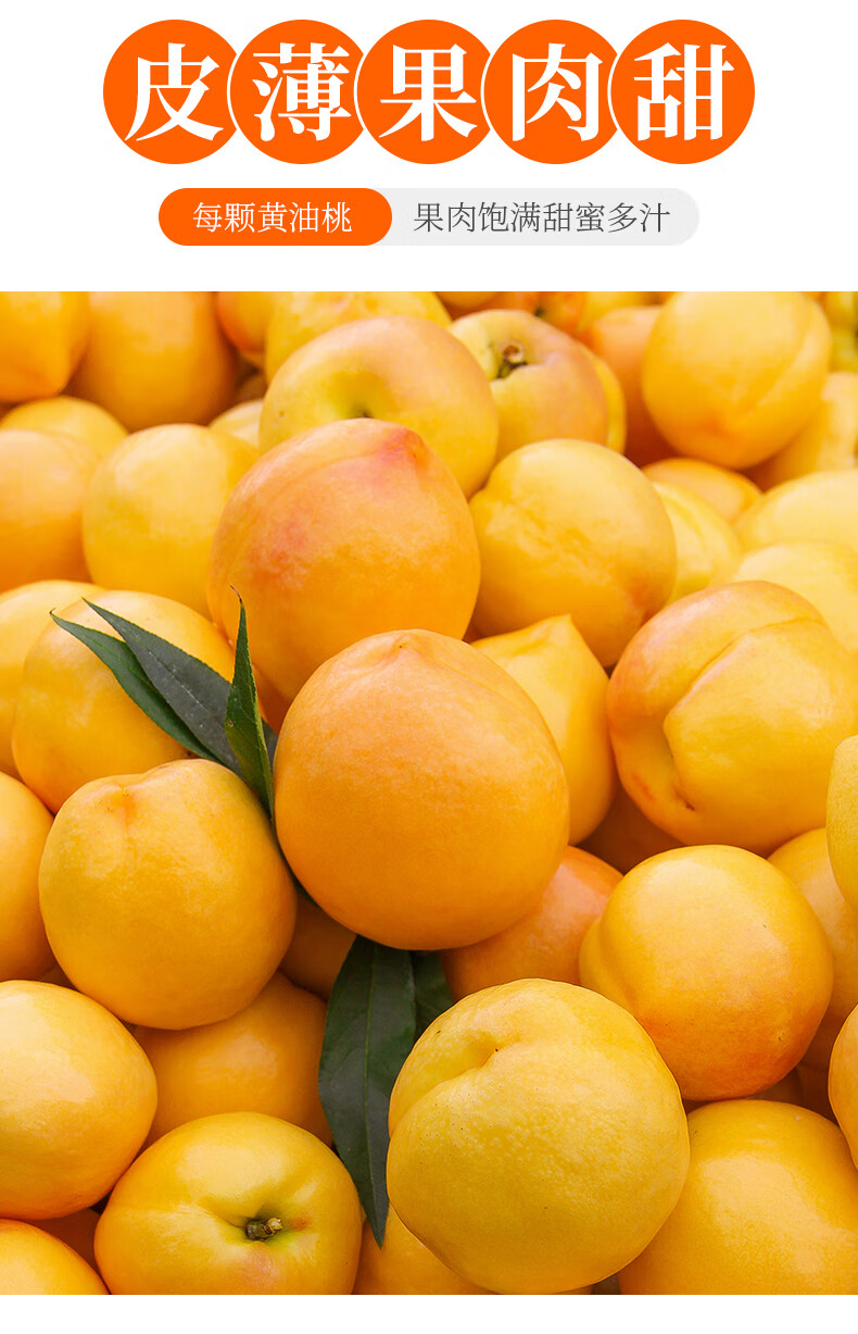 【芒果油桃】4.