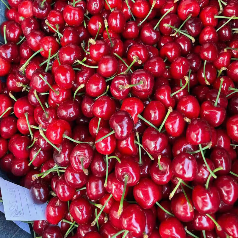 大樱桃车厘子新鲜孕妇新鲜水果5先锋美早大连山东烟台应季樱桃4斤顺丰