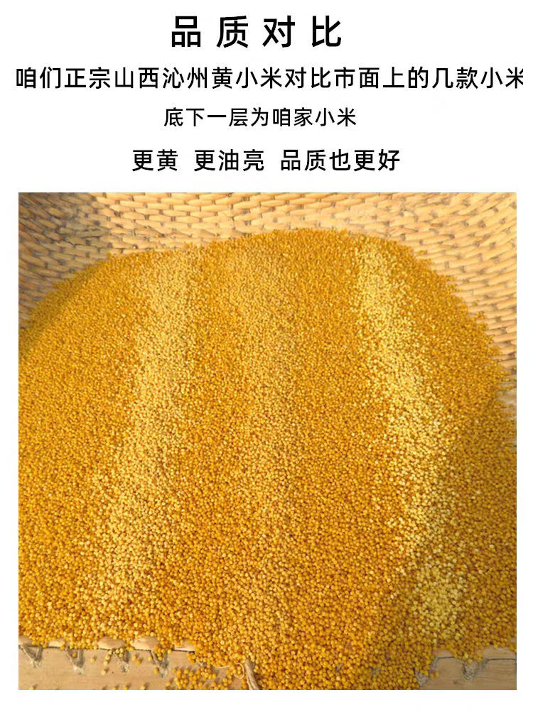 沁州黄谷子小米种籽粟米小香米种子香糯软绵高营养五谷杂粮种书香黄谷