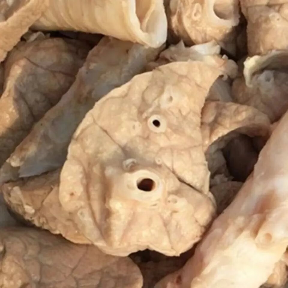 黑土猪新鲜猪肺农家散养猪肺子猪下水内脏商用冷冻 一副新鲜猪肺(有肺