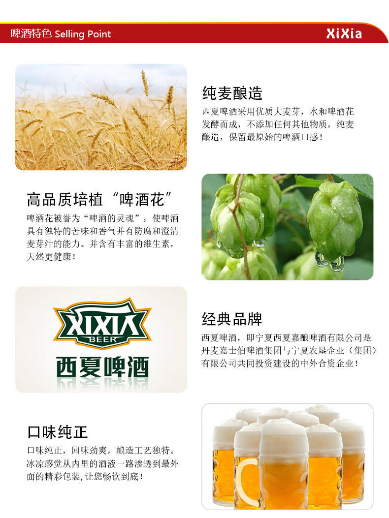 西夏x5啤酒夺命啤酒330ml12瓶装听装啤酒宁夏啤酒西北汉子啤酒6罐装
