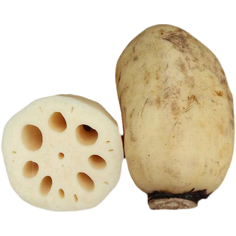 脆藕头新鲜现挖现发泥巴藕湖北藕嫩藕尖莲菜应季蔬菜3/5斤 2500g