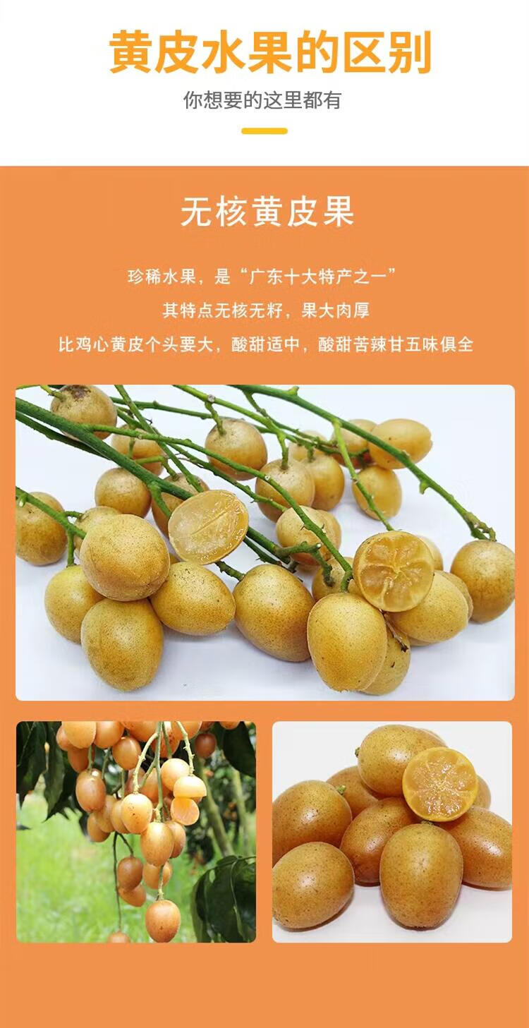 玫栀广东鸡心黄皮果郁南无核酸甜黄皮当季新鲜现摘冰糖孕妇水果黄弹子