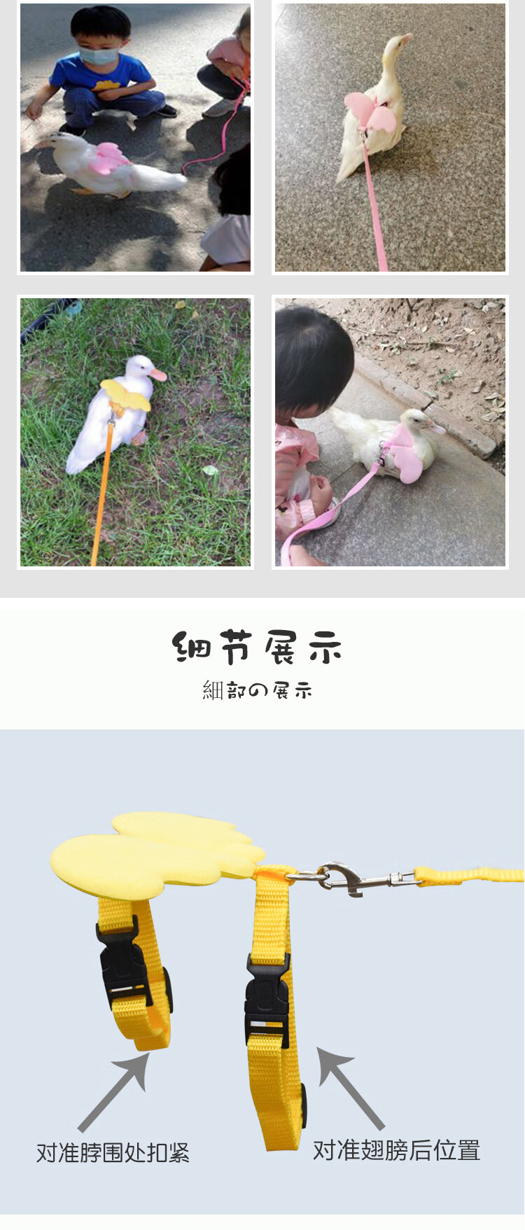 遛鸭子绳胸背带式绳子溜小鸡宠物鹅用品夏季网红柯尔鸭牵引绳 黄色