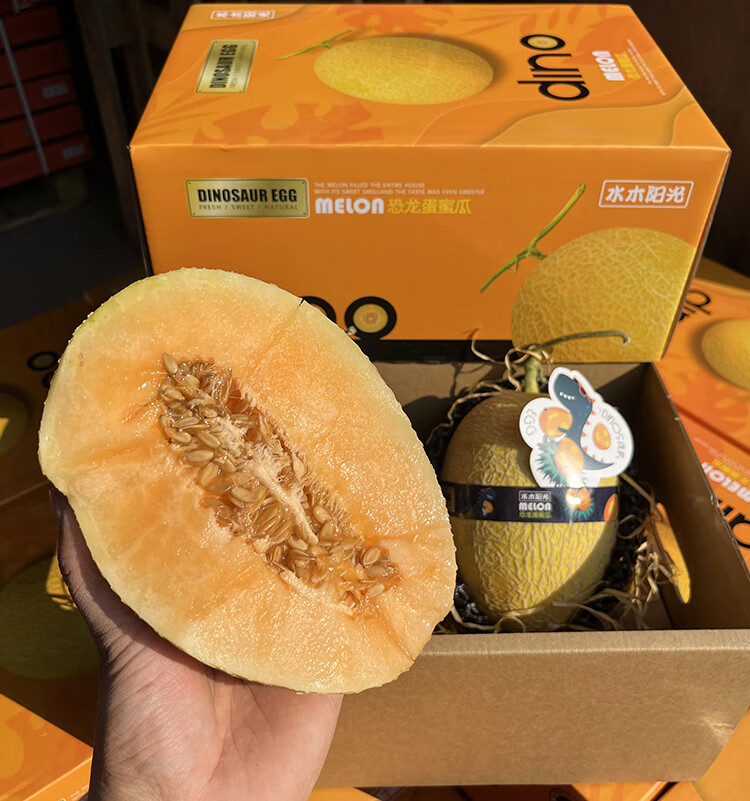 春光岛 新疆恐龙蛋蜜瓜黄金蜜瓜 网纹瓜甜瓜哈密瓜黄肉脆甜新疆甜瓜4