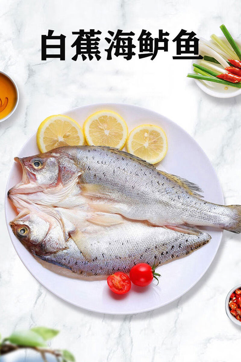 广纳力驰海鲈鱼开背新鲜冷冻鲜活深海七星鲈鱼海捕花