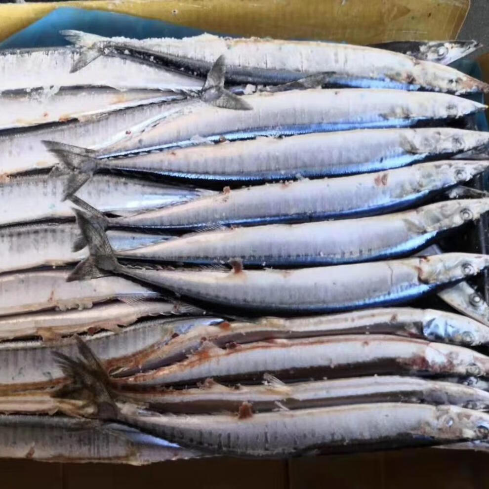 遠洋捕撈秋刀魚冷凍海魚深海海鮮刀魚水產燒烤整箱食材燒烤五斤一斤3