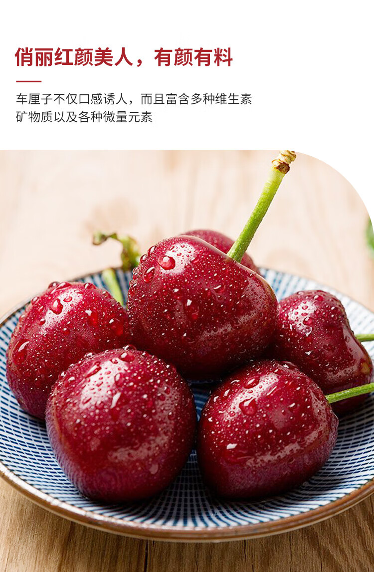 【顺丰冷链隔日达】正宗山东烟台美早大樱桃5斤烟台国产车厘子新鲜