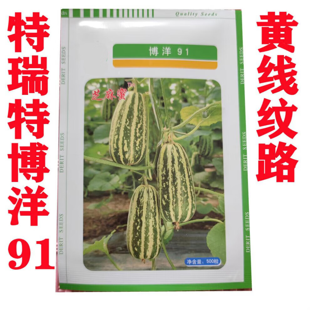 博洋9九号甜瓜种子大香瓜甜瓜 种籽春季四季高糖早熟羊角蜜瓜 羊角蜜