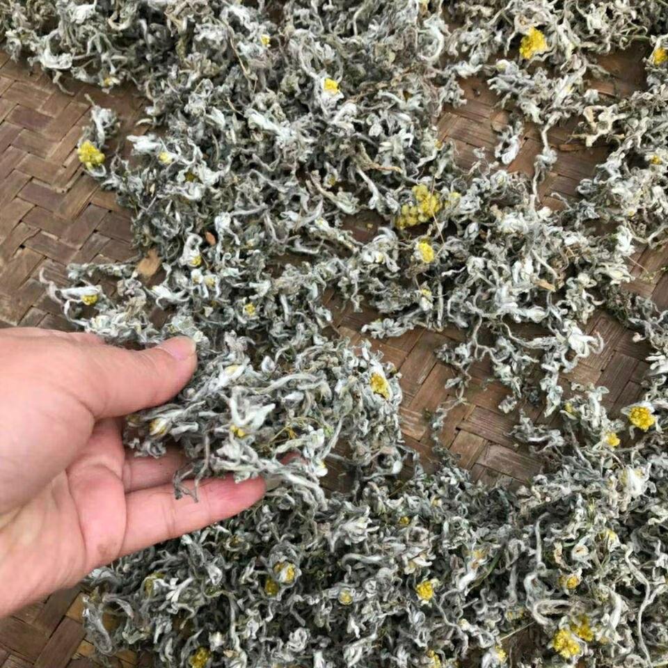 正宗清明草新鲜晒干鼠曲草清明菜绒毛鼠麴佛耳草干清明果500克