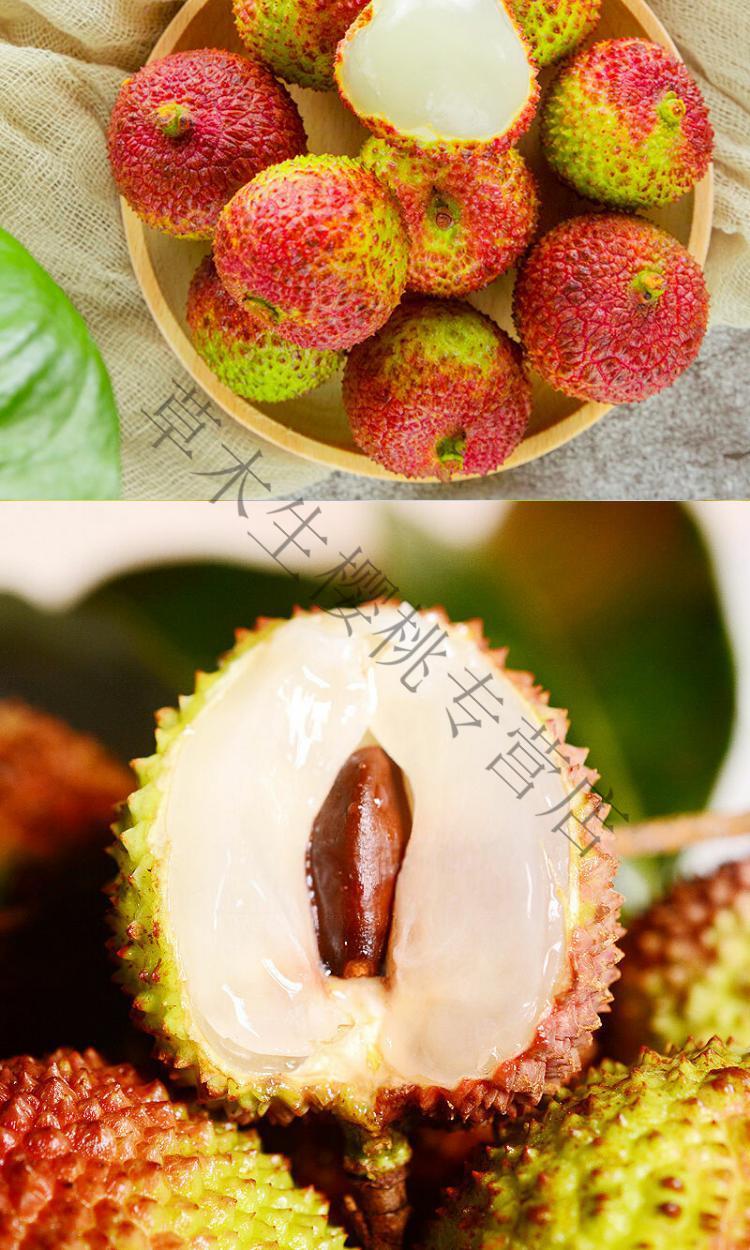 青樱红荔现货新鲜荔枝三月红酸甜荔枝妃子应季当季水果2斤