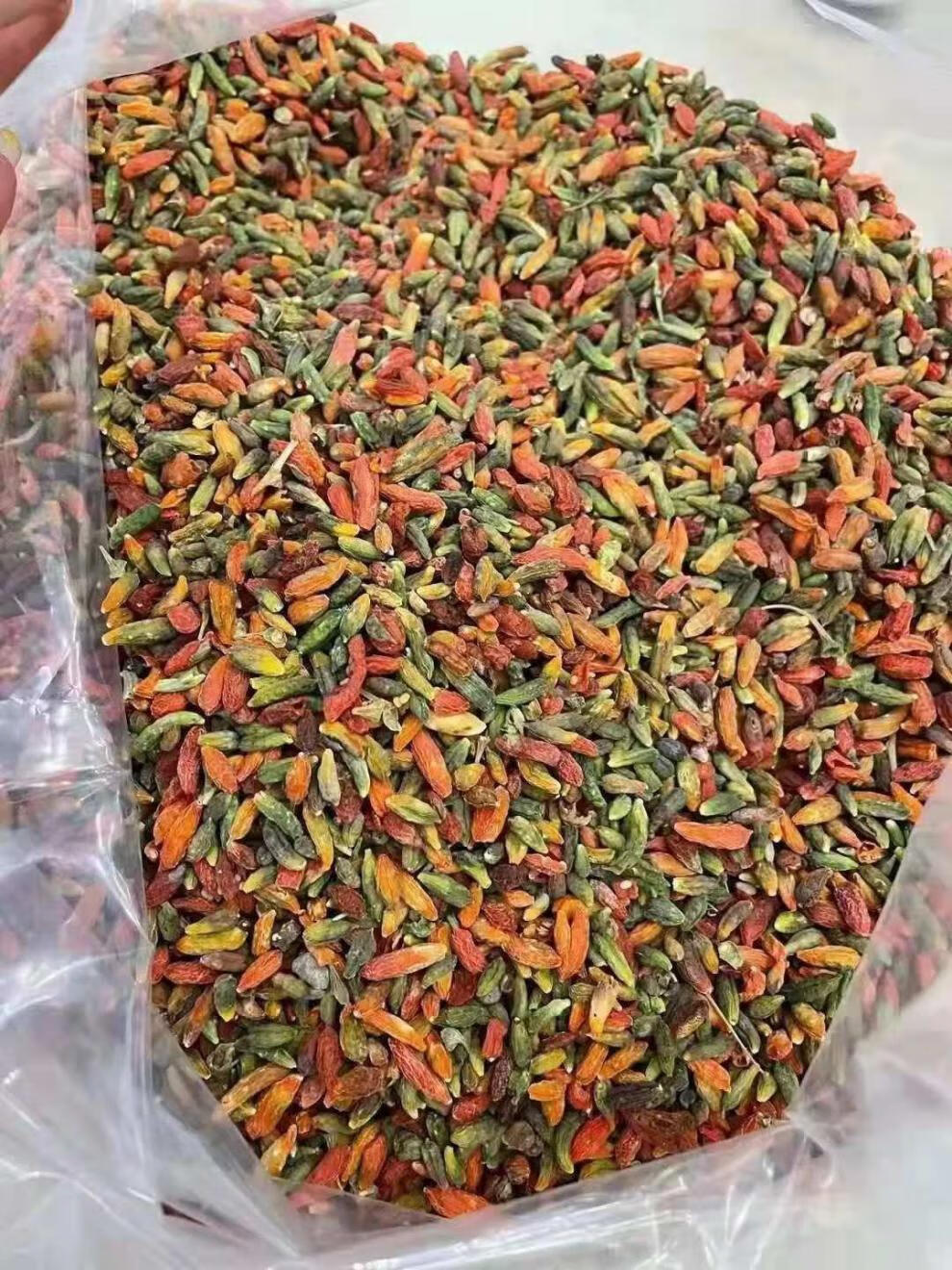 新货正宗长白山野生枸杞特级野生小粒枸杞青枸杞无硫免洗野生枸杞50克