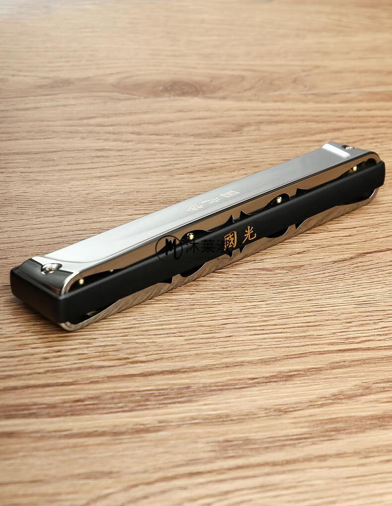 口琴初学者tombo上海国光演奏级复音口琴重音c调成人初学者入门乐器24