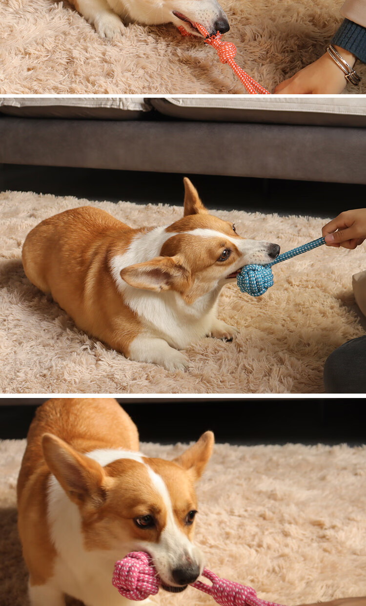 番易狗咬绳子狗狗玩具磨牙耐咬绳结大中小型犬编织玩具宠物用品绳结胡