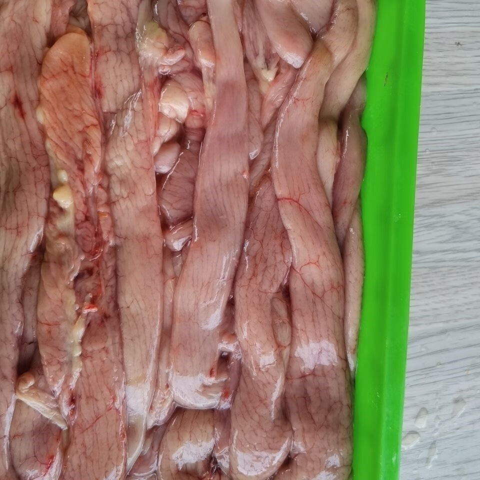 新鲜速冻老母鸡生鸡蛋黄五斤蛋肠鸡蛋肠饭店食堂自家吃广纳力驰 蛋黄