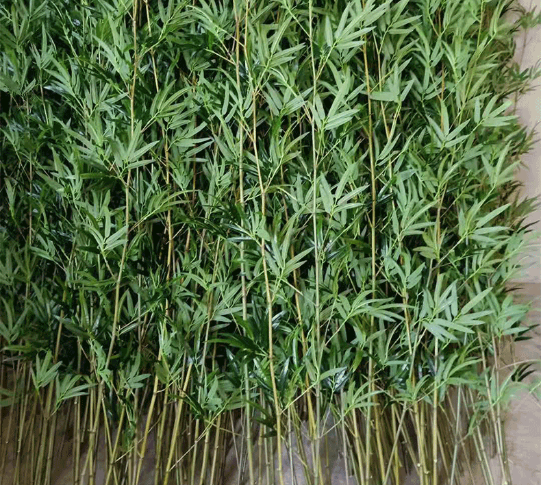 质凡仿真竹子隔断屏风假竹子盆景细水毛竹绿植客厅酒店装饰竹叶假竹竿