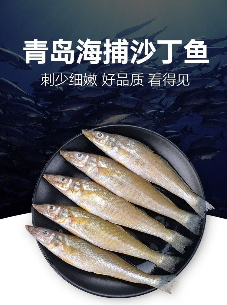 海捕原生青岛沙丁鱼冷冻沙尖鱼沙钻鱼沙梭鱼无冰衣净重 小号2斤约46条