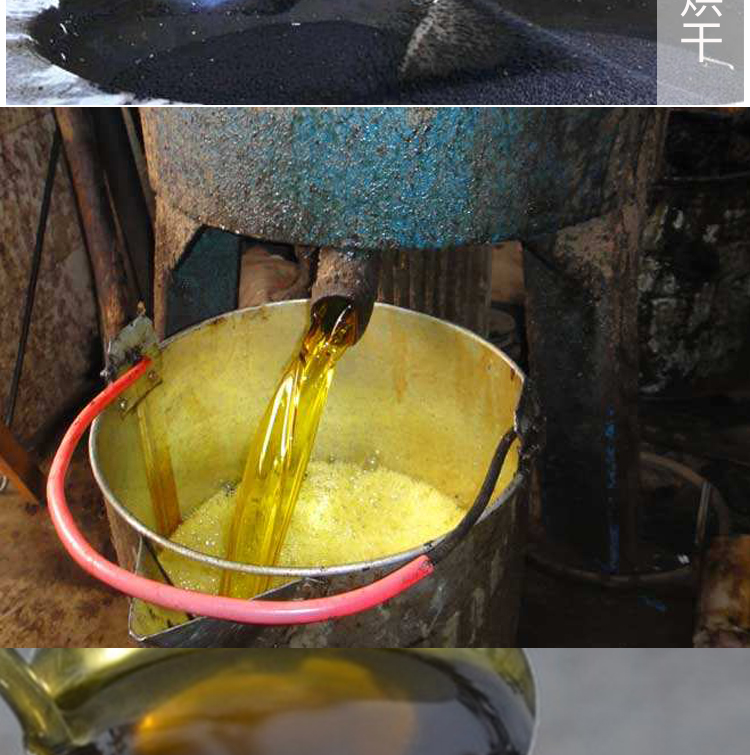 四川压榨纯菜籽油5l食用菜油农家自榨菜籽油家用装油菜籽 用装油菜籽