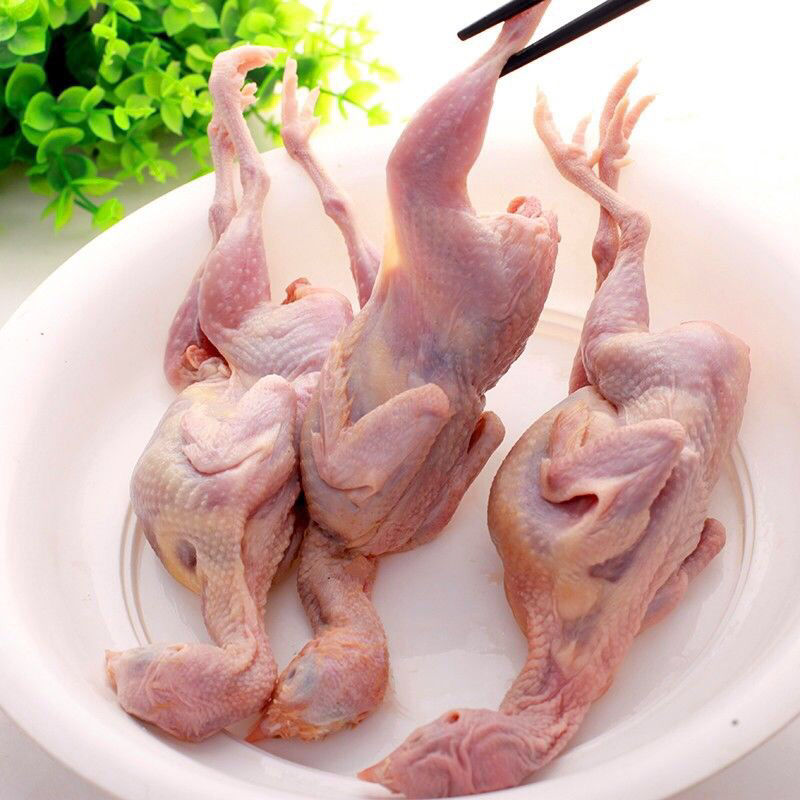 特大母鹌鹑放血去内脏活体现杀新鲜白条鹌鹑肉冷冻烧烤批发油炸腾旺纳