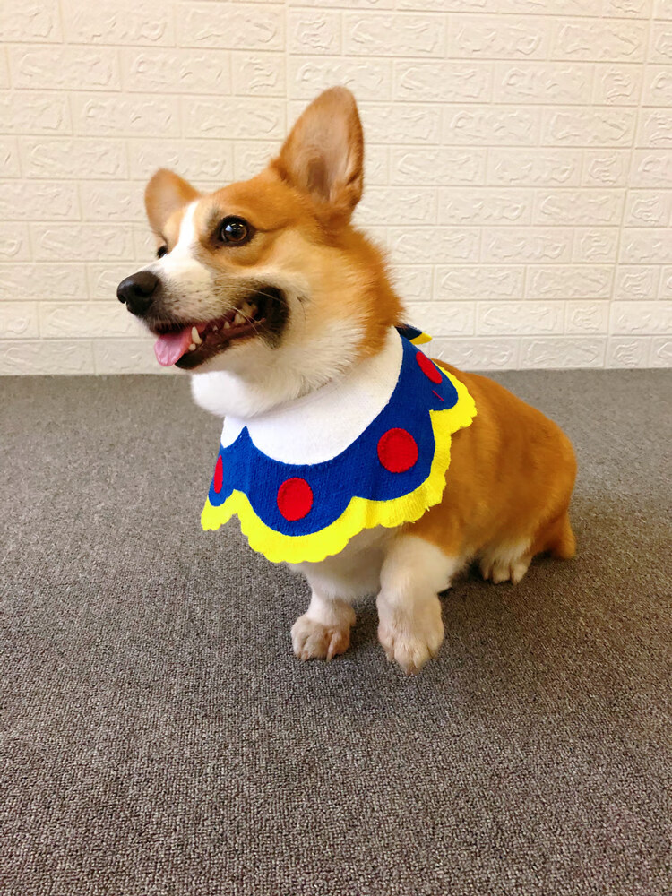 宠物狗狗口水巾柯基泰迪围兜三角巾口水兜围脖围巾柯基犬可爱饰品