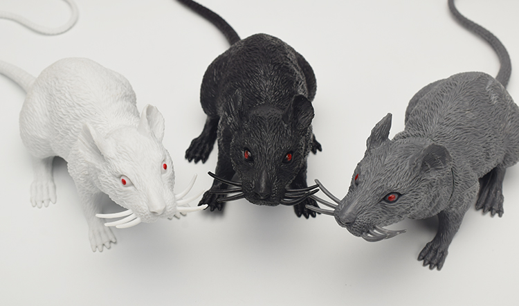 仿真老鼠塑胶模型老鼠模型空心白灰黑鼠拍摄写真道具塑胶整蛊吓人好玩