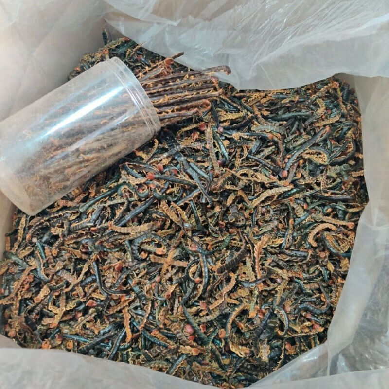 蜈蚣中药材50g蜈蚣肉无竹签蜈蚣干蜈公皮大整条可磨粉售蝎子水蛭 蜈蚣