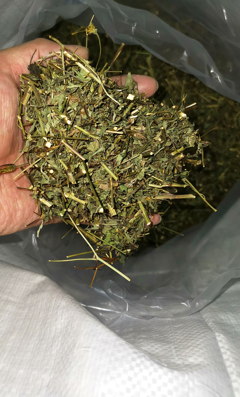 三叶鬼针草500g新鲜干货归真草茶泡水中药材有杆叶【图片 价格 品牌