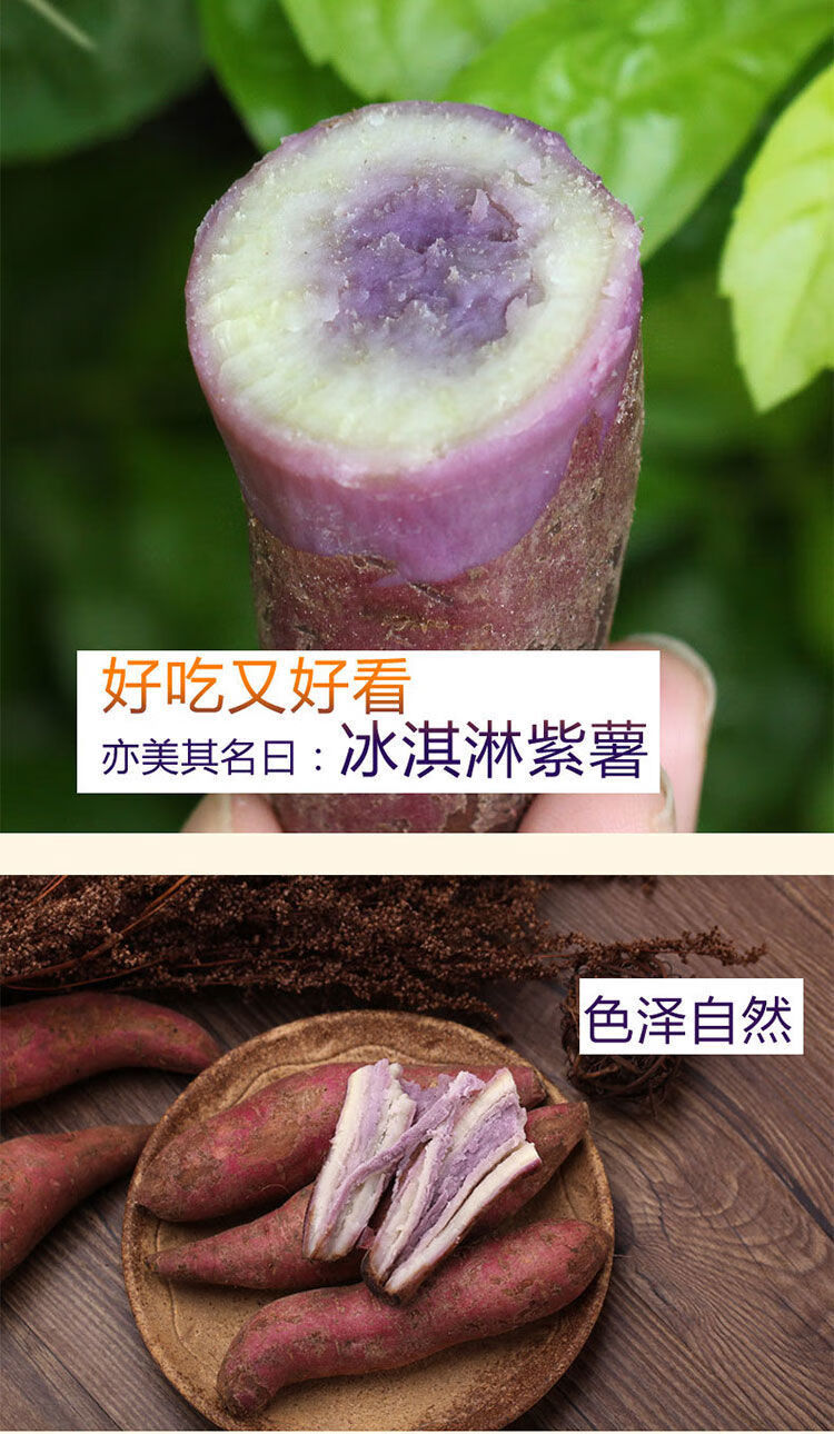 农家新鲜现挖冰淇淋红薯一点红紫薯紫心地瓜番薯粉糯香甜5斤大果净重5