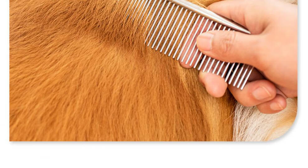 狗狗梳子m(18*4cm)【图片 价格 品牌 报价】-京东