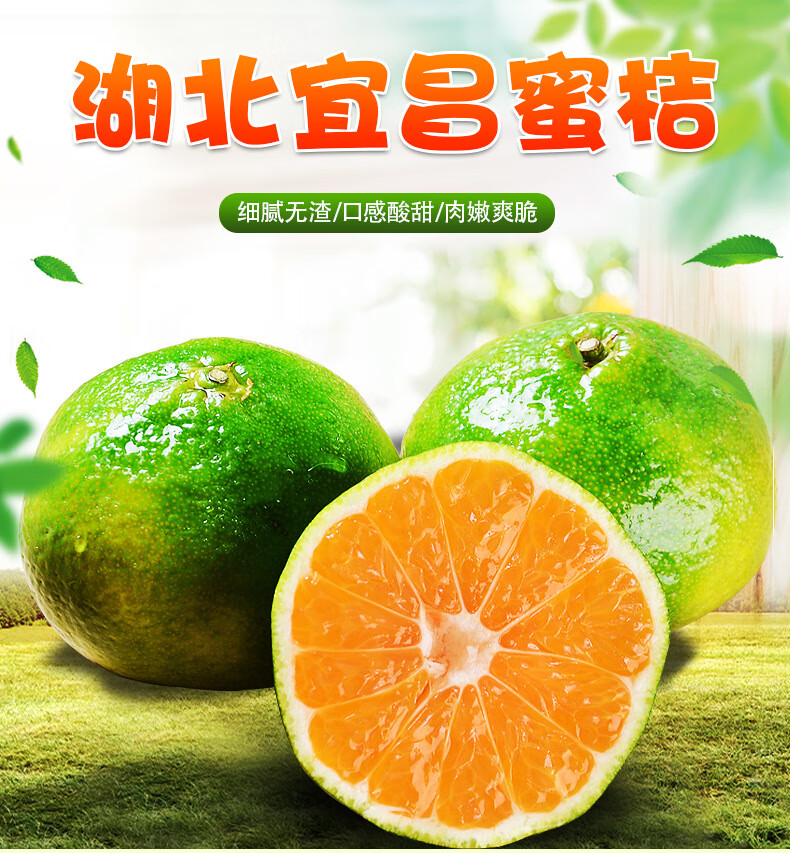 味蕾樂【新鮮到家】湖北宜昌特級蜜桔 3/9斤新鮮水果早熟酸甜青皮橘子