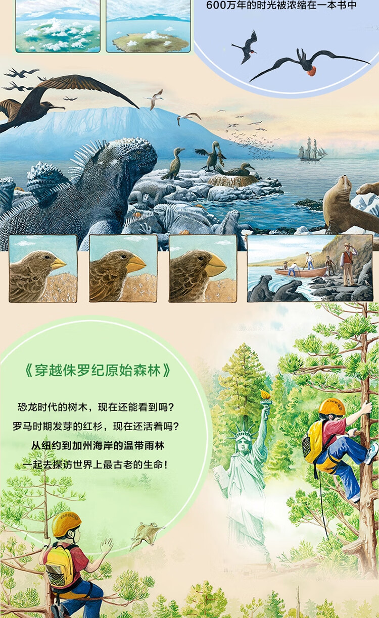 点读版凯迪克奖五部曲自然探秘之旅全5册儿童科普绘本幼儿园宝宝亲子