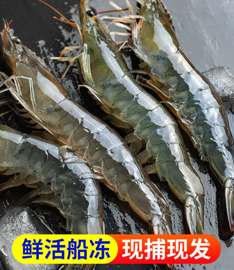 青岛大虾新鲜活冷冻海虾青虾海鲜基围虾对虾特大号一整箱纯虾4斤装更