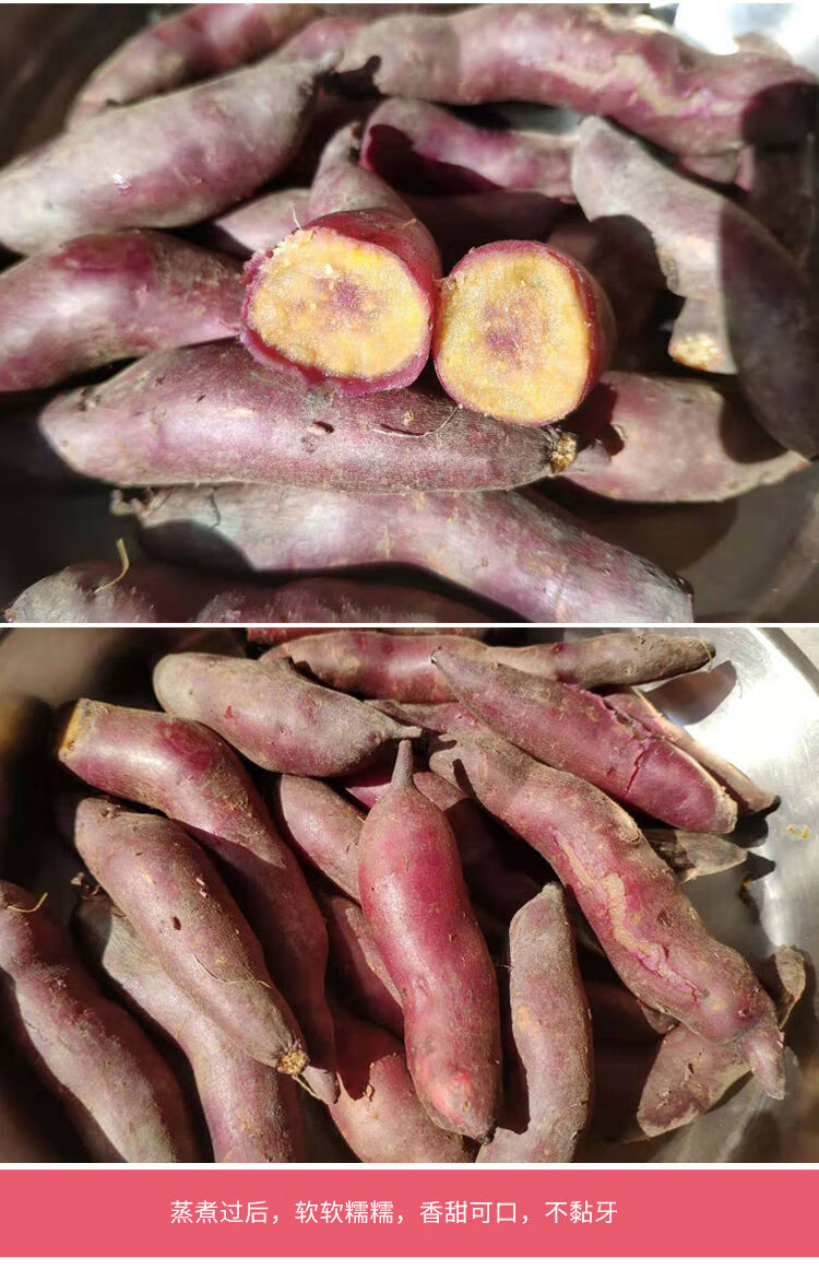 【当天现挖】红薯新鲜地瓜从化一点红番薯南沙冰淇淋红薯花心紫心