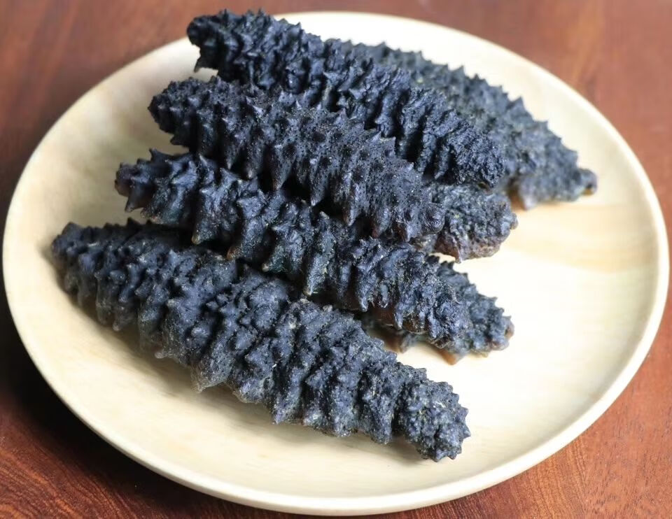 螺纹参龙纹参长刺螺丝参海参1520头海参干货长刺螺丝参海参100g