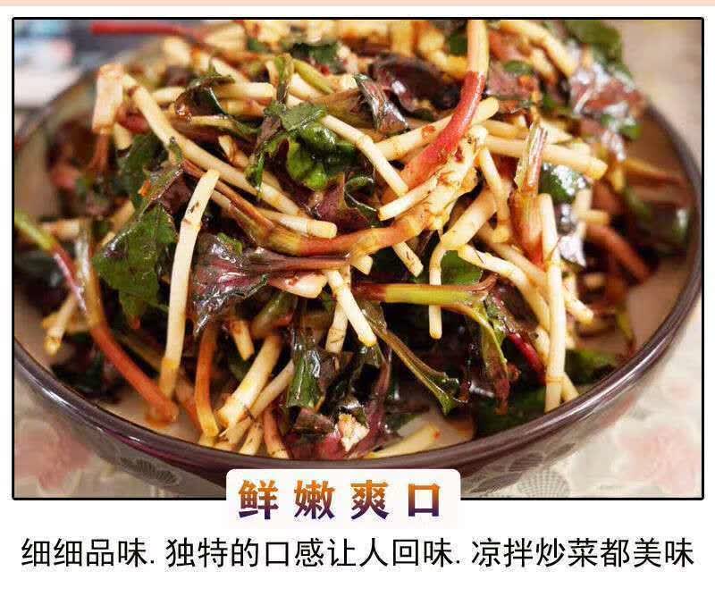新鲜鱼腥草不洗折耳根贵州嫩芽嫩根凉拌节节根 1斤不洗发货【图片