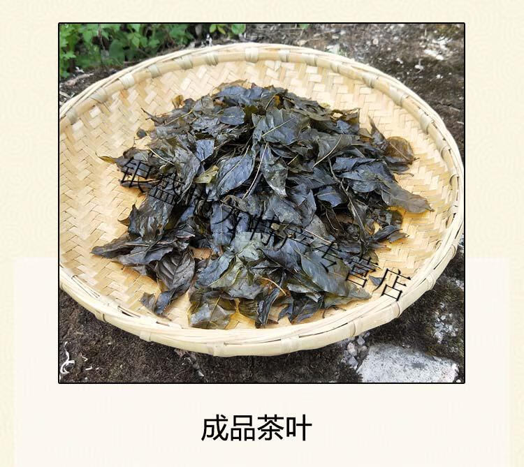 新店特惠起貴州特產苦丁茶遵義苦茶大葉小葉500g