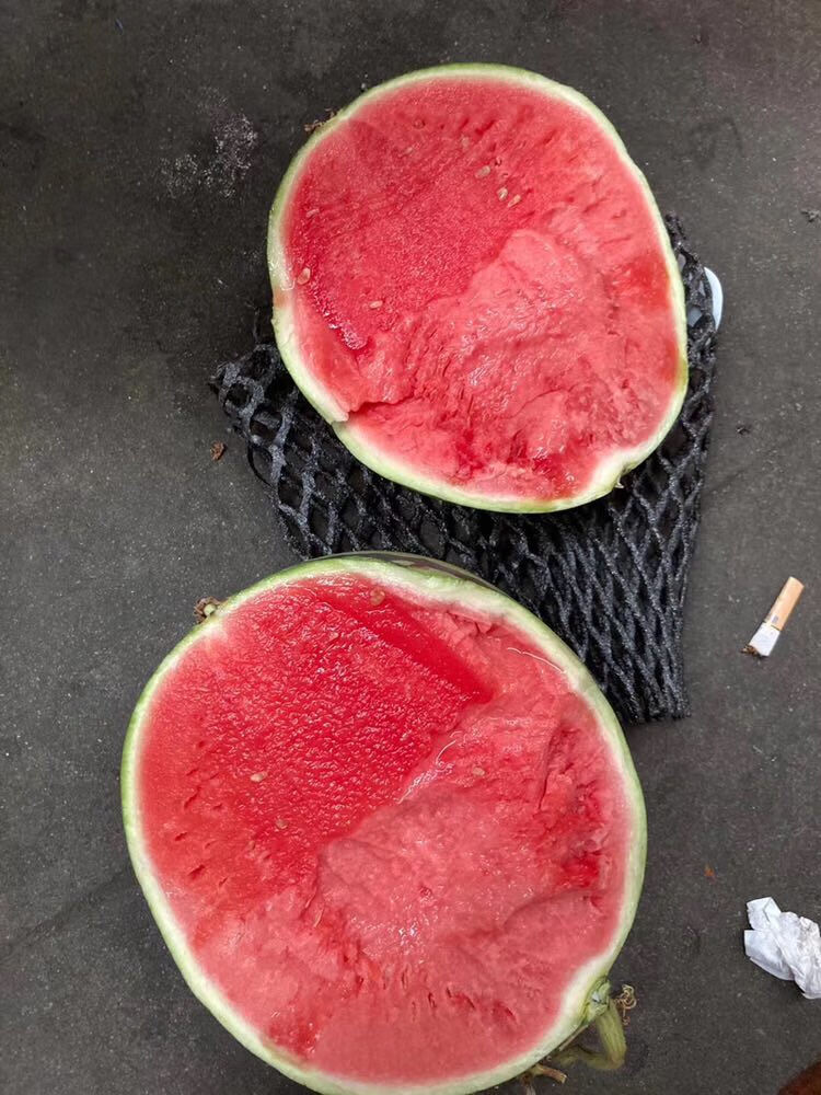 翡翠蒂西瓜2只装超甜汁水分足新鲜采摘口感甜蜜约15斤左右整箱年货