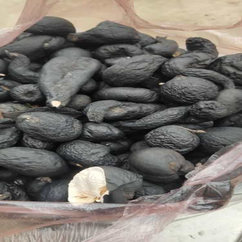 中药材乌灵参乌苓参菌鸡枞蛋雷震子鸡茯苓吊金钟新货 20克【图片 价格